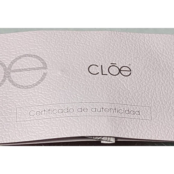 Cloe Crossbody Vegan Leather Bag NWT Dustbag COA Included - Picture 15 of 16